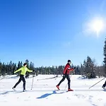 Urlaub Auf 1.000 Meter Hoehe Mit Pool Und Sauna Apartman Schönwalde