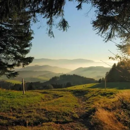 アパート Urlaub Auf 1.000 Meter Hoehe Mit Pool Und Sauna