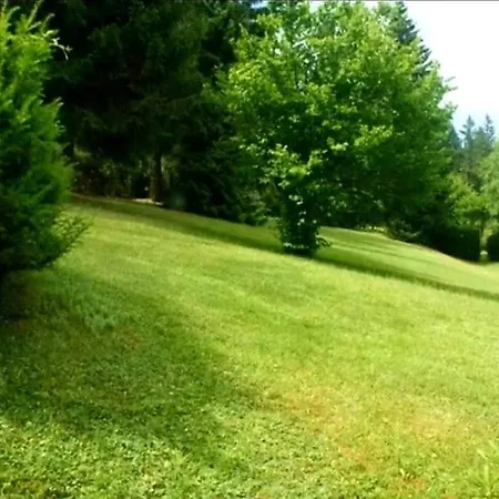 Urlaub Auf 1.000 Meter Hoehe Mit Pool Und Sauna