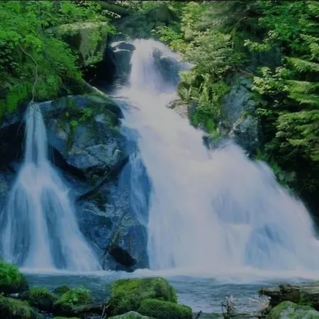 Appartement Urlaub Auf 1.000 Meter Hoehe Mit Pool Und Sauna *