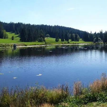 Urlaub Auf 1.000 Meter Hoehe Mit Pool Und Sauna Schönwalde