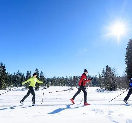Urlaub Auf 1.000 Meter Hoehe Mit Pool Und Sauna アパート Schönwalde