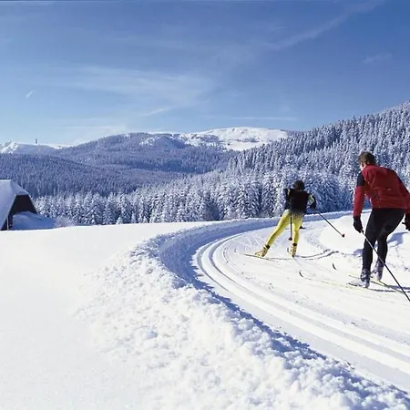Urlaub Auf 1.000 Meter Hoehe Mit Pool Und Sauna Apartment